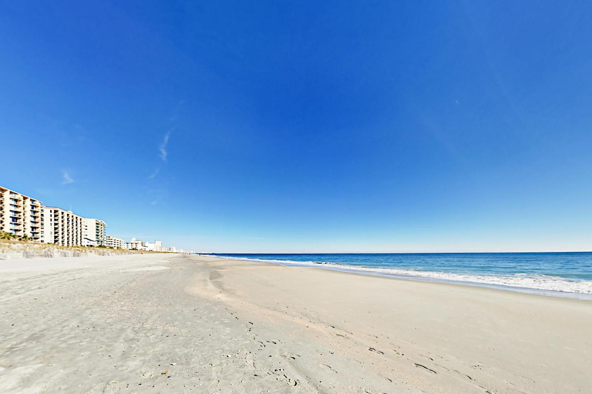 Seas The Day 204